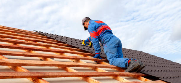 Best Solar Panel Roofing Installation  in Ozona, TX